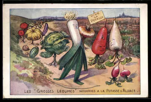 AK Rüben, Kürbis und Salat, Reklame für La Potasse d`Alsace, Metamorphose
