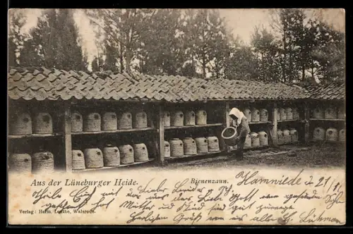 AK Bienenzaun einer Imkerei in der Lüneburger Heide