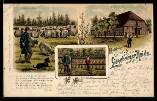 Lithographie Heideschnucken, Imkerei in der Lüneburger Heide