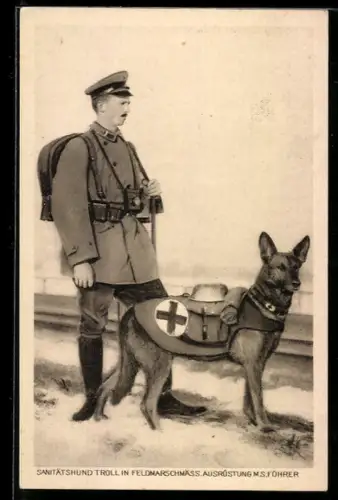 AK Sanitätshund Troll in Feldmarschmäss. Ausrüstung m. s. Führer