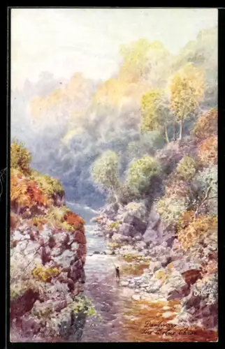 Künstler-AK Raphael Tuck & Sons Nr. 7074: Dartmoor, Holne Chase