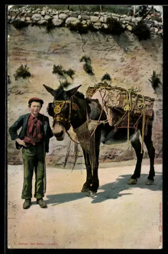 AK Mulo, Knabe mit Maultier
