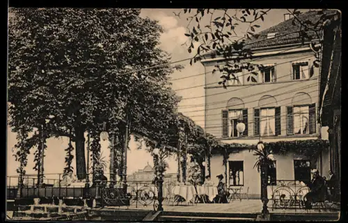 AK Dresden, Hotel Bellevue, Terrasse, Blick nach Osten, Dir. R. Ronnefeld