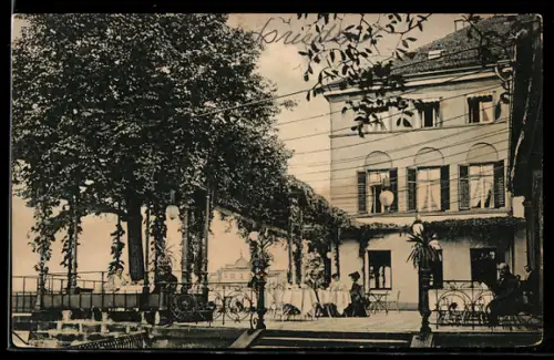 AK Dresden, Hotel Bellevue, Terrasse, Blick nach Osten, Direktor R. Ronnefeld