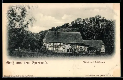 AK Lübbenau /Spreewald, Mühle bei Lübbenau