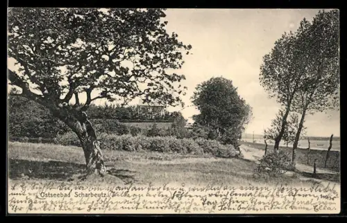 AK Scharbeutz, Landschaftsansicht mit Bäumen und Weg zum Strand