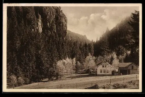 AK Tambach /Thür. Wald, Gasthaus am Falkenstein, Inh. A. Beck