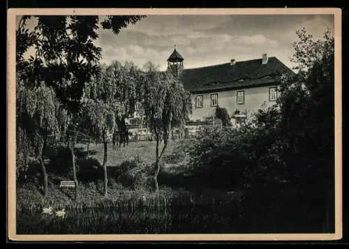 AK Stadtroda i. Thür., Parkrestaurant Schloss Rausdorf, Schwanenteich
