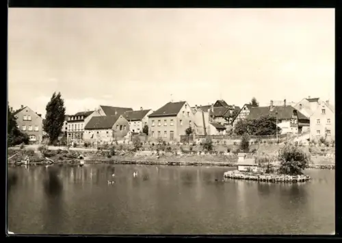 AK Ronneburg /Thür., Teich in Richtung Poitzdorf
