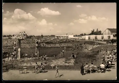 AK Ronneburg in Thüringen, Freibad, Sprungturm, Badegäste