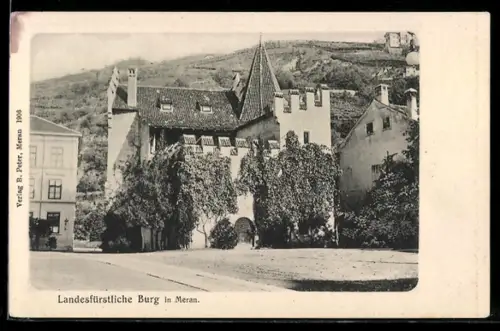 AK Meran, Landesfürstliche Burg