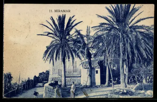 AK Barcelona, Miramar, Villa mit Palmen