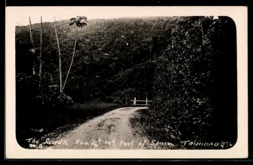 AK Port of Spain, The Saddle Road