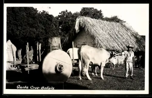 AK Santa Cruz, Ochsenkarren vor Strohdachhütte