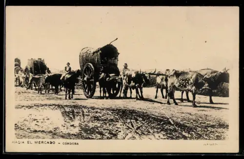 AK Córdoba, Hacia el Mercado, Ochsengespann