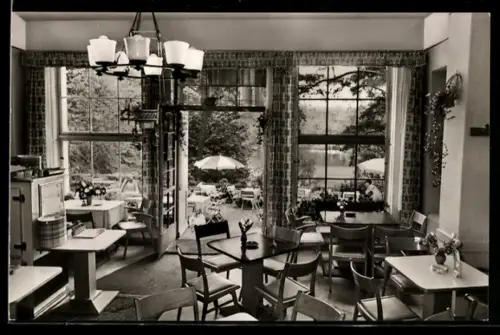 AK Berlin, Am Schlachtensee, Terrassen-Restaurant, Inh. Rudolf Renoth, Innenansicht und Seeterrasse