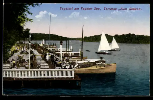 AK Berlin-Tegelort am Tegeler See, Terrasse Zum Schwan
