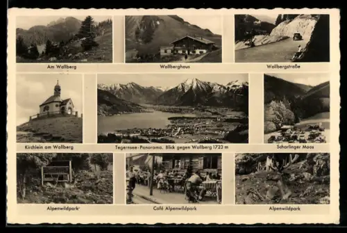 AK Tegernsee, Wallberghaus, Alpenwildpark, Panorama, Kirchlein am Wallberg