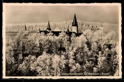 AK Neuhausen i. Erzgeb., Schloss Purschenstein