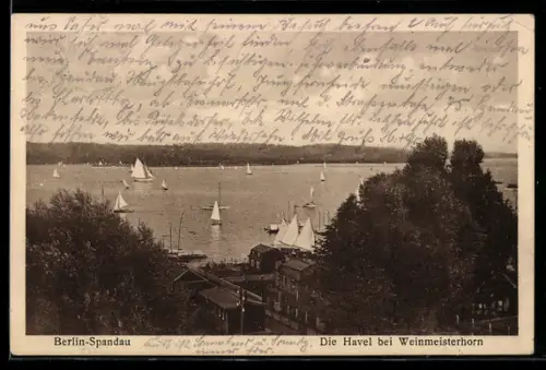 AK Berlin-Spandau, Die Havel bei Weinmeisterhorn, Segelboote