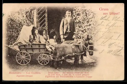 AK Münstedt`s Zigeuner-Truppe, Prinz Asha das kleinste Pferd der Welt