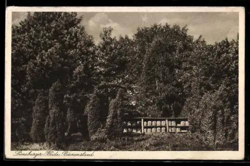 AK Bienenstöcke in der Lüneburger Heide