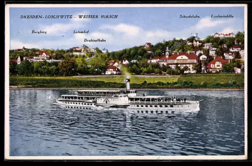 AK Dresden-Loschwitz, MS Dresden, Schwebebahn, Drahtseilbahn, Dampfschiff auf der Elbe