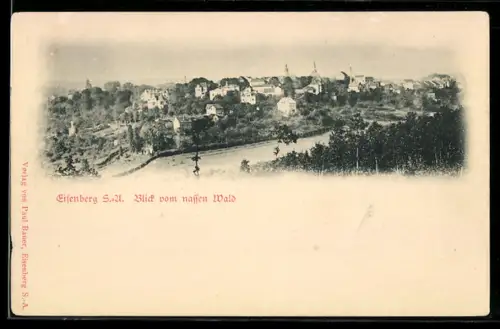 AK Eisenberg S.A., Blick vom nassen Wald