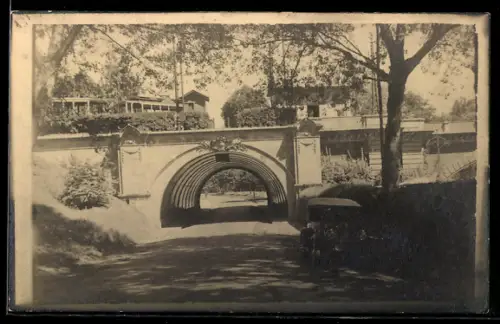 AK Torino, Tram che attraversa un ponte alberato