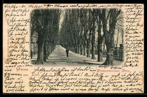 AK Kiel, Düsternbrooker Allee