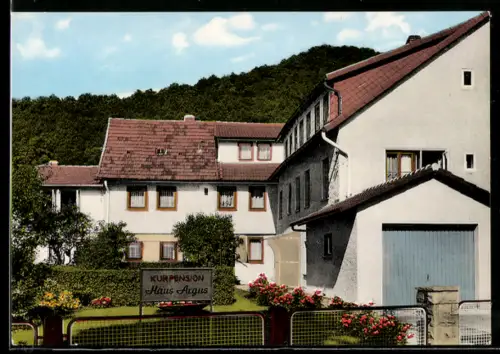 AK Bad Lauterberg /Harz, Kurpension Haus Argus, Inh. Lockfisch