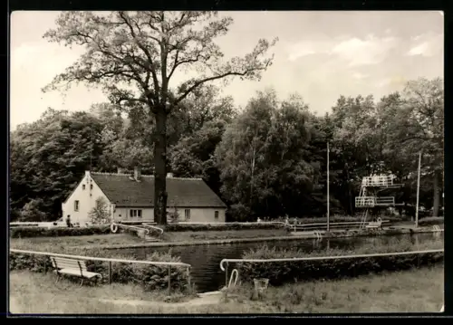 AK Glaubitz /Riesa, Waldbad mit Sprungturm