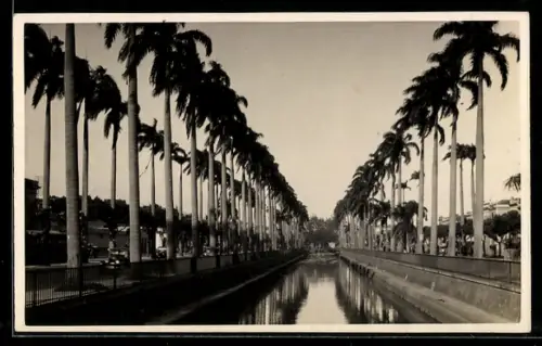 AK Rio de Janeiro, Canal do Mangue