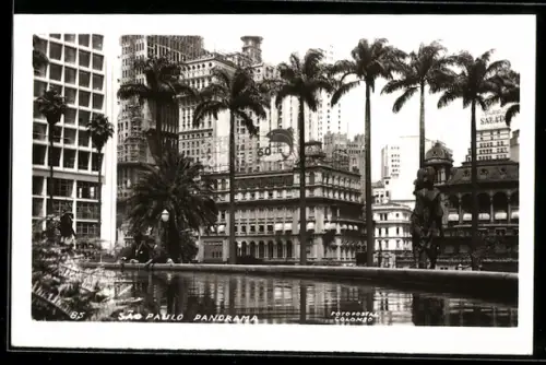 AK Sao Paulo, Panorama