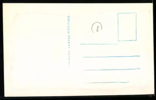 AK Rio de Janeiro, Panorama mit Zuckerhut