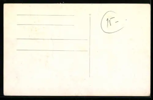 AK Rio de Janeiro, Panorama Parcial