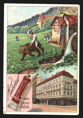 Sammelbild Wien, Kalodont, Zahncreme, Ansicht der Bärenmühle