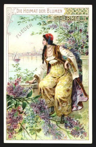 Sammelbild Heerdt /Düsseldorf, Remy`s Reis-Stärke, Fabrikmarke Löwenkopf, Türkei, Flieder