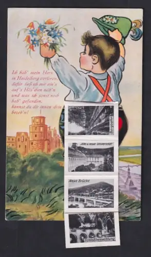 Leporello-AK Heidelberg, Alte und neue Universität, Neue Brücke und Schloss mit Nachtbeleuchtung