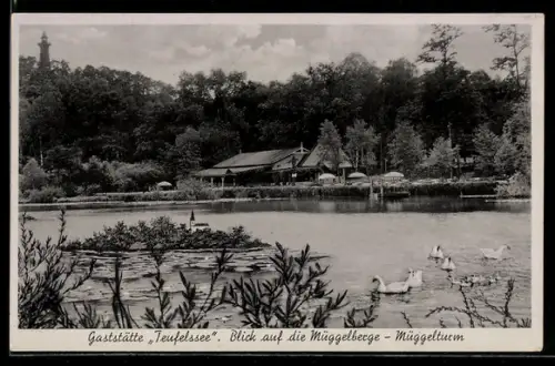 AK Berlin-Köpenick, Gaststätte Teufelssee, Müggelberge, Müggelturm