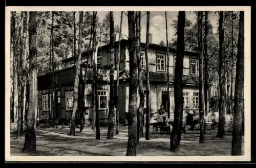 AK Biederitz b. Magdeburg, D. A. Waldheim