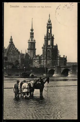 AK Dresden, Kath. Hofkirche und Kgl. Schloss