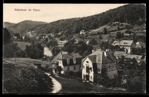 AK Altenbrak im Harz, Ortsansicht mit Hotel Villa Rose