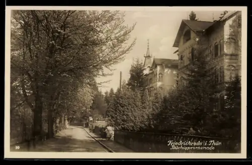 AK Friedrichroda i. Thür., Büchigpromenade, Strassenpartie