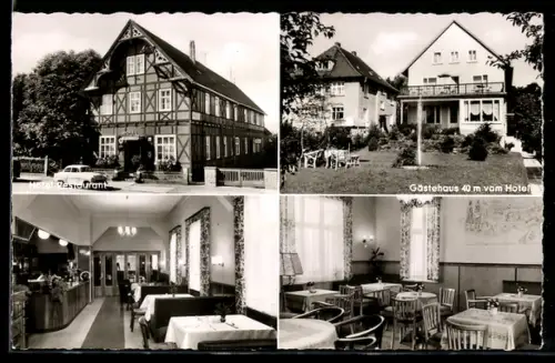AK Melsungen a. d. Fulda, Hotel Hessischer Hof H. Markolt, Gästehaus, Restaurant, Innenansichten