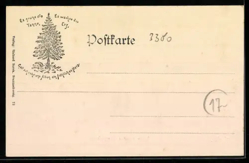 AK Goslar, Ruine auf dem Georgenberge