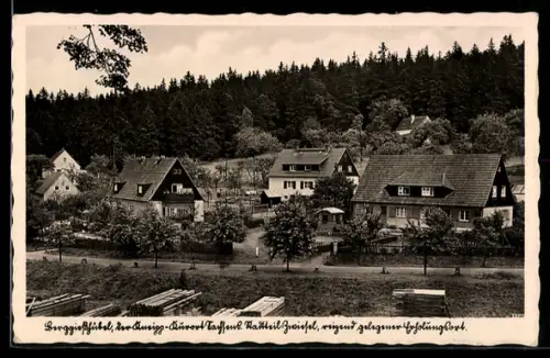AK Berggiesshübel, Teilansicht am Waldrand
