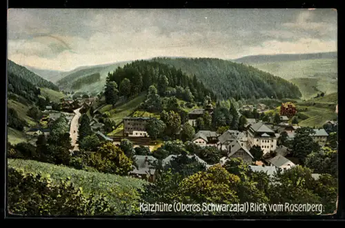 AK Katzhütte /Oberes Schwarzatal, Blick vom Rosenberg a. d. Ort
