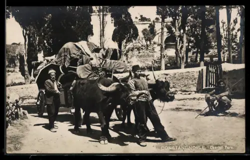 AK Constantinople, Chariot Turc