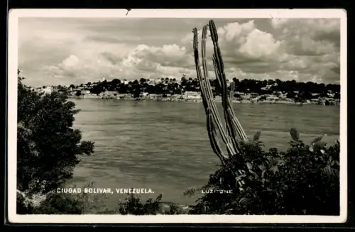 AK Ciudad Bolivar, Vista del río con cactus